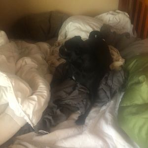 Meet your Posher, Jackson